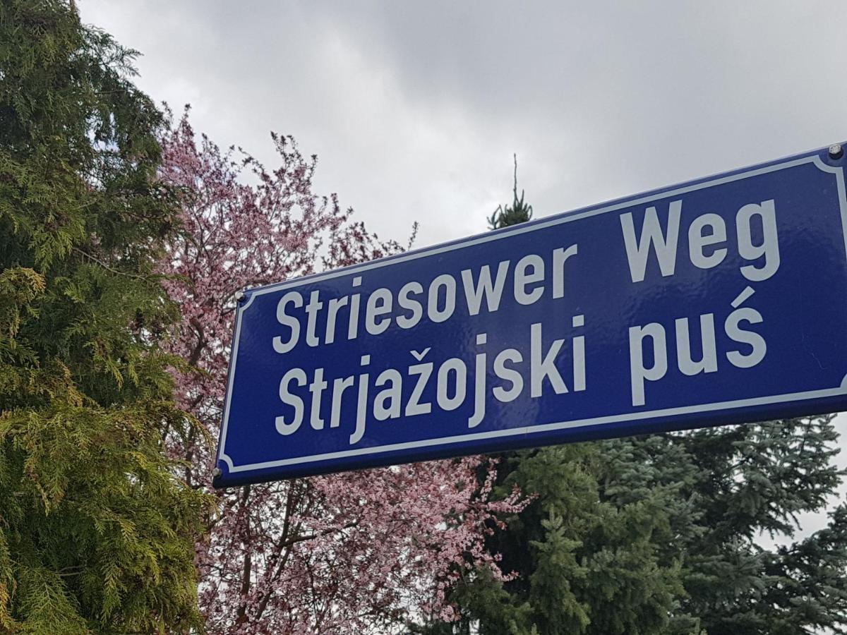 70M² Zweiraumwohnung Am Spreewaldradweg In Cottbus Bagian luar foto